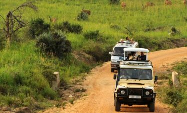 8-Day Uganda Safari – Gorilla and Chimpanze Tracking Bwindi and Kibale